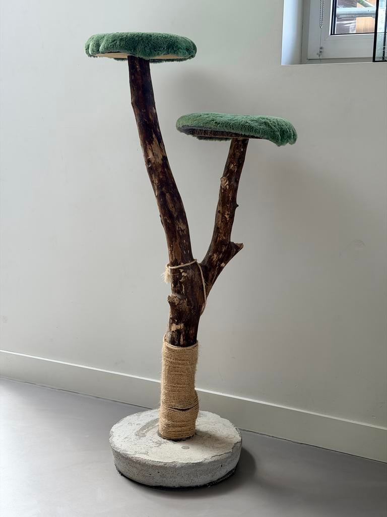 Kattenkrabpaal, Ophalen, Krabpaal