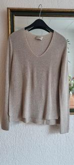 Dames voorjaarstrui merk Via Appa maat 40., Ophalen of Verzenden, Zo goed als nieuw, Maat 38/40 (M)