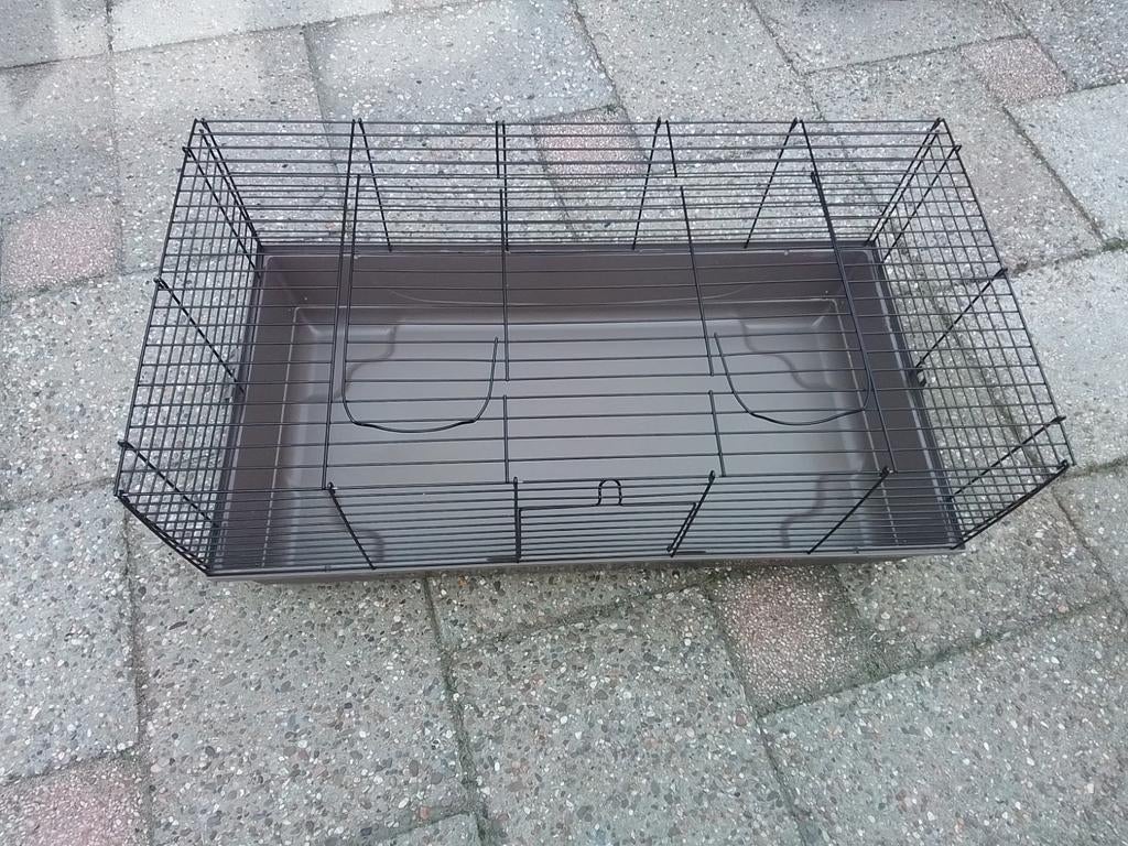 Dieren en toebehoren knaagdieren en konijnen, Dieren en Toebehoren, Ophalen of Verzenden