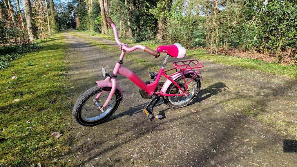 Roze kinderfiets 14 inch, Ophalen, Gebruikt, Minder dan 16 inch