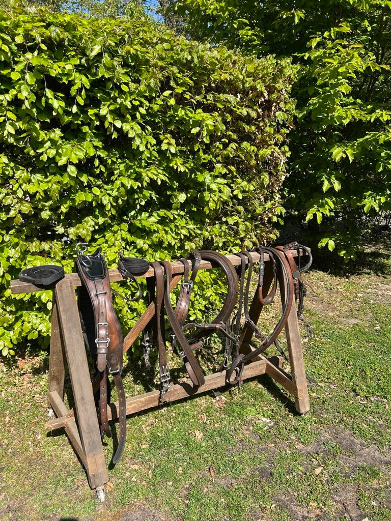 Mentuig - Enkelspan haflinger, Dieren en Toebehoren, Ophalen, Gebruikt, Overige soorten