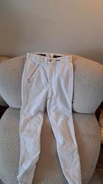 Hagel witte wedstrijdbroek Pikeur maat 176, Dieren en Toebehoren, Ophalen, Zo goed als nieuw, Dressuur, Bovenkleding