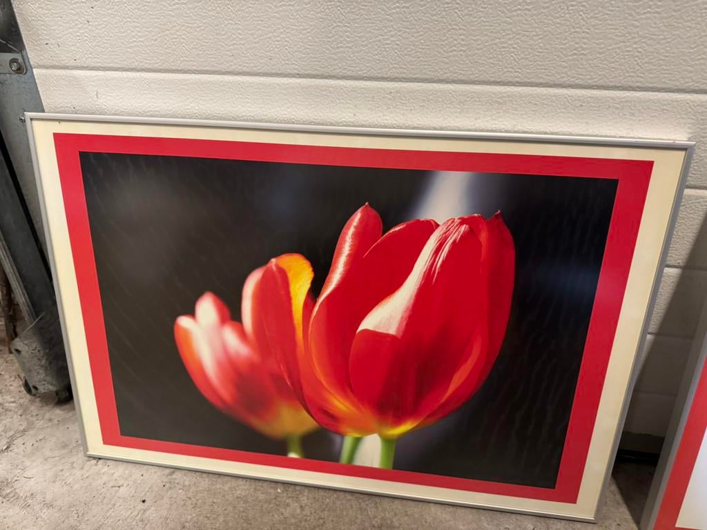 Schilderen voor bijvoorbeeld een kantoorpand, Ophalen, Zo goed als nieuw, 50 tot 75 cm, Schilderij