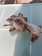 Kienhout voor aquarium of andere doeleinden, Dieren en Toebehoren, Ophalen, Plant(en), Steen of Hout