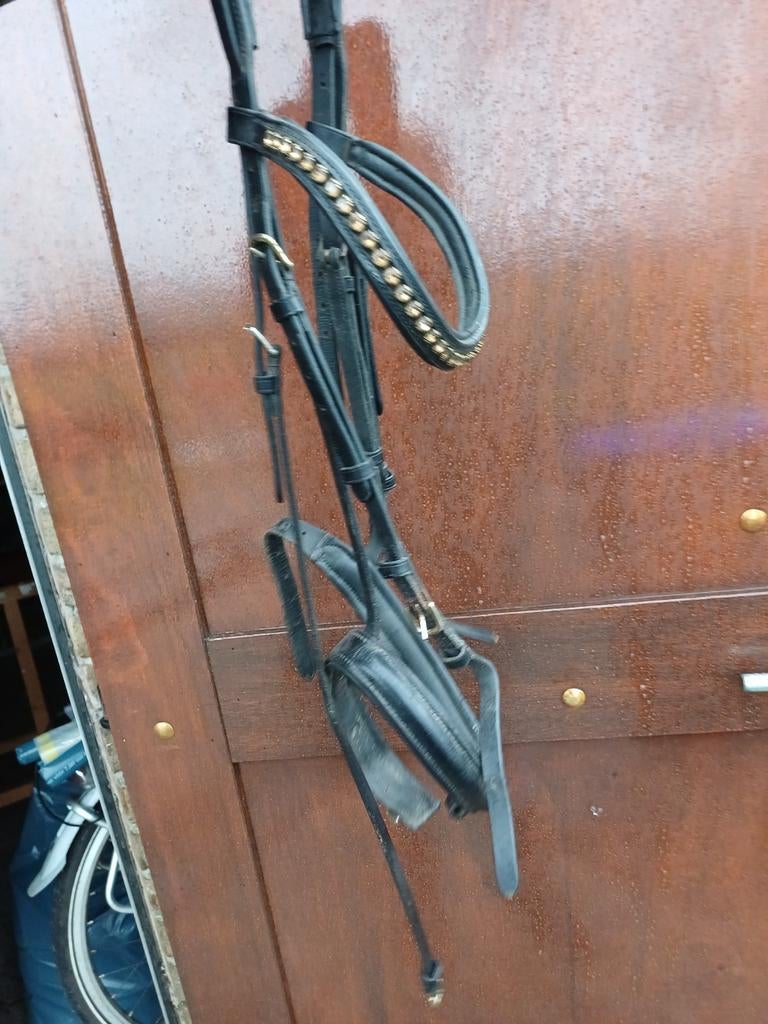 Verschillende hoofdstellen, Dieren en Toebehoren, Ophalen of Verzenden, Gebruikt, Dressuur