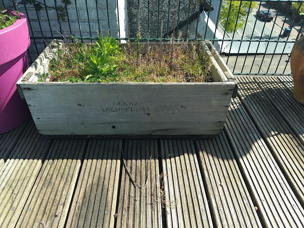 Moestuinbak, Tuin en Terras, Bloembakken en Plantenbakken, Ophalen, Rechthoekig, Hout, Minder dan 30 cm