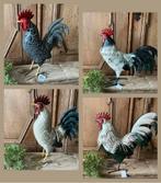 NIEUW super mooie metalen levensgrote kippen hanen, Ophalen of Verzenden, Nieuw