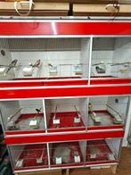 Tk broedkooien van Keulen, Ophalen, Zo goed als nieuw, Aluminium, Broedkooi of Kweekkooi