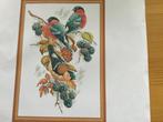 Borduurpakket vogels op bramentak, Hobby en Vrije tijd, Borduren en Borduurmachines, Verzenden, Nieuw, Handborduren, Borduurpakket