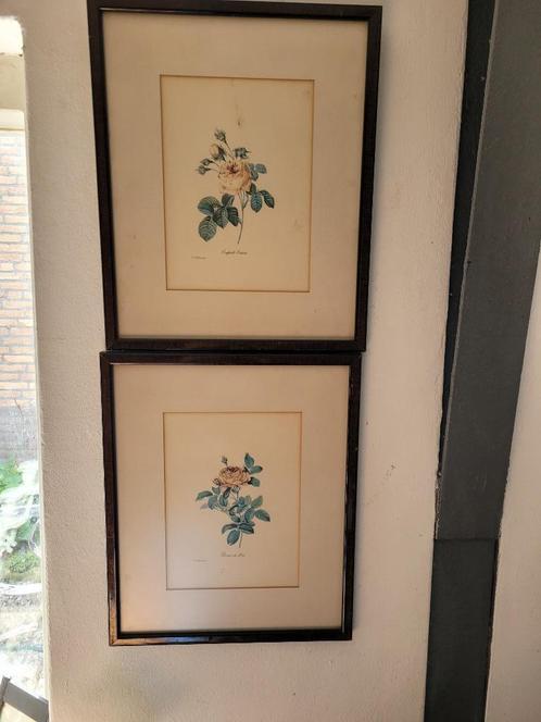 lijstjes met Petrus Redout rozen per stuk 9.95, Antiek en Kunst, Curiosa en Brocante, Ophalen of Verzenden