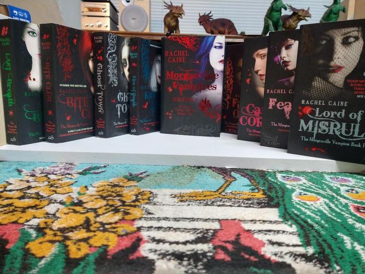 RACHEL CAINE - MORGANVILLE VAMPIRES Part 1 to11 (9x Eng bks), Boeken, Fantasy, Zo goed als nieuw, Verzenden