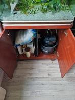 Compleet aquarium incl. kast, pomp/filter & vissen + voer, Ophalen, Zo goed als nieuw, Gevuld zoetwateraquarium