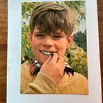 Heintje fotokaart  handtekening., Ophalen of Verzenden, 1960 tot 1980, Overige thema's
