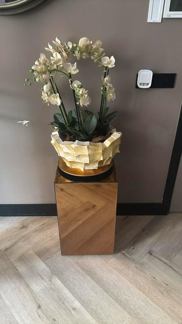 Schelpenvaas Eric Kuster stijl bowl met orchideeën beschikbaar voor biedingen