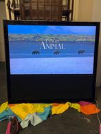 Bang & Olufsen Beovision 10-46 incl. afstandsbedieningen, Gebruikt, 50 Hz, LCD, 100 cm of meer