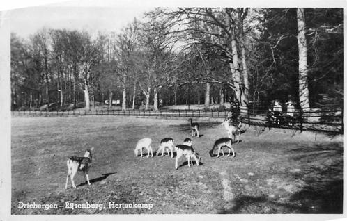(388-365-029) Driebergen-Rijsenburg Hertenkamp, Verzamelen, Ansichtkaarten | Nederland, Utrecht, Verzenden