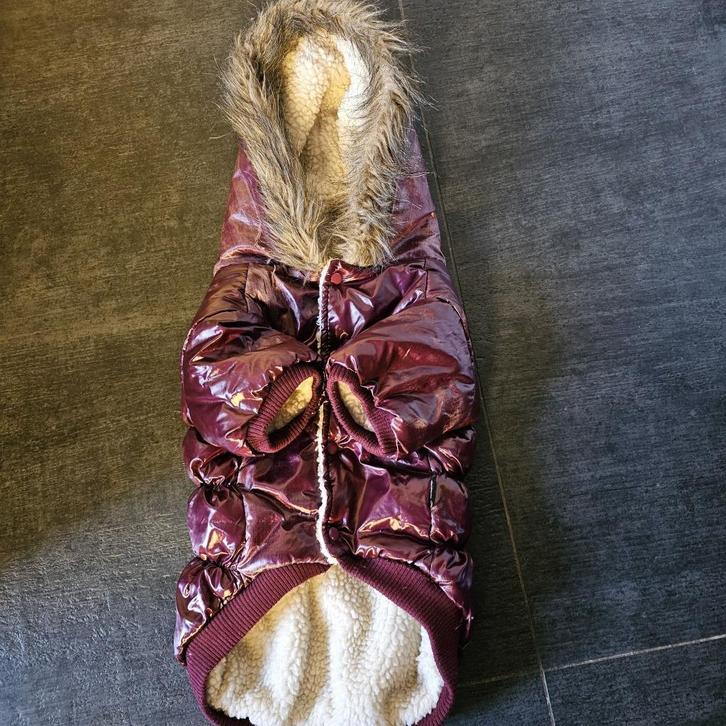 Honden jas !!, Dieren en Toebehoren, Hondenkleding, Zo goed als nieuw, Hondenjas, Ophalen of Verzenden