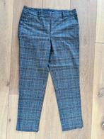 ZGAN River Woods broek chino in blauwe ruit maat 38, Kleding | Dames, Lang, Blauw, River Woods, Maat 38/40 (M)