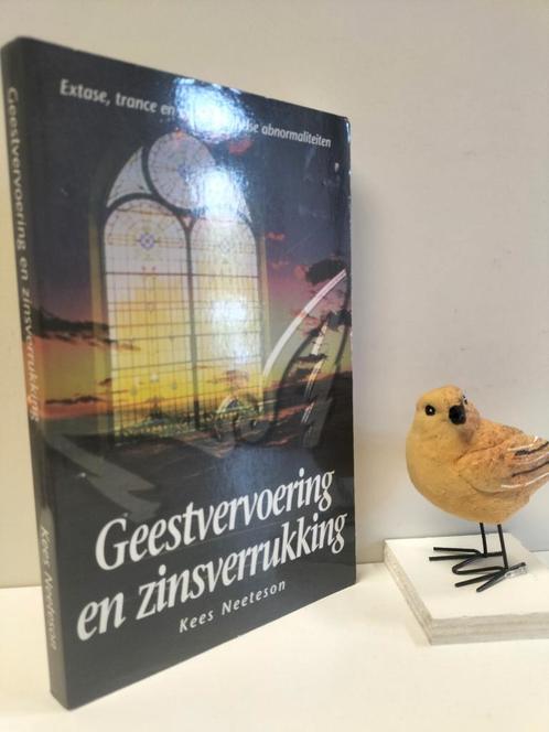 Neeteson, Kees; Geestvervoering en zinsverrukking, Boeken, Godsdienst en Theologie, Ophalen of Verzenden
