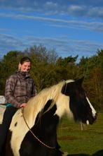 Grote tinker merrie, Dieren en Toebehoren, Paarden, Merrie, Minder dan 160 cm, B, Gechipt