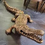 krokodil messing beeld goud levensgroot xxl, Antiek en Kunst, Ophalen of Verzenden