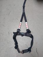 3 Punts Gordel  Racerij / Tuning etc., Ophalen