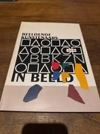 Beeldende Kunstenaars in Beeld - Kunstboek, Ophalen of Verzenden, Gelezen, Schilder- en Tekenkunst