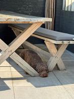 Steigerhouten tafel met banken + kussens, Ophalen, Gebruikt, Rechthoekig, Hout