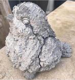 Grote grijze vogel tuindecoratie 24cm diverse tuindecoratie, Tuin en Terras, Ophalen of Verzenden, Gebruikt, Beton, Dierenbeeld