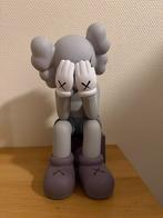 Kaws toy, Ophalen of Verzenden, Nieuw, Beeldje of Figuurtje