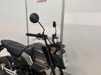Honda MSX 125 ABS bj 2024, Motoren, HONDA, Bedrijf, Onbekend, Onbekend