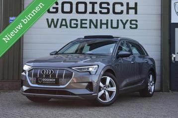 Audi e-tron e-tron 50 quattro Launch edition plus 71 kWh | P beschikbaar voor biedingen