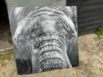 Prachtige foto olifant op glas, Huis en Inrichting, Woonaccessoires | Schilderijen, Tekeningen en Foto's, Ophalen of Verzenden