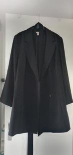 Zwarte H&M  jasjurk maat xl, Zwart, Maat 46/48 (XL) of groter, Ophalen of Verzenden, Zo goed als nieuw