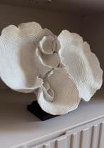 Creme wit stuk faux koraal schelp op voet hotel chic japandi, Huis en Inrichting, Woonaccessoires | Overige, Ophalen of Verzenden