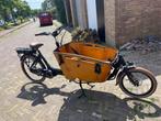 Vogue Carry 2 elektrische bakfiets - nieuwe accu!, Gebruikt, Elektrisch, 2 kinderen, Ophalen
