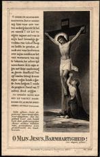 Nijhuis Maria Aleida 1895 Reutum-1938 Noord-Deurningen, Verzamelen, Bidprentjes en Rouwkaarten, Ophalen of Verzenden