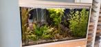 Aquatlantis aquarium, Ophalen, Gebruikt, Leeg aquarium