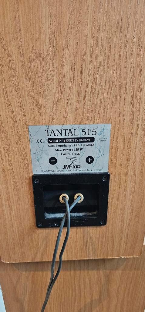 JM Lab Focal Tantal 515 Speakers, Audio, Tv en Foto, Luidsprekers, Gebruikt, Front, Rear of Stereo speakers, 120 watt of meer