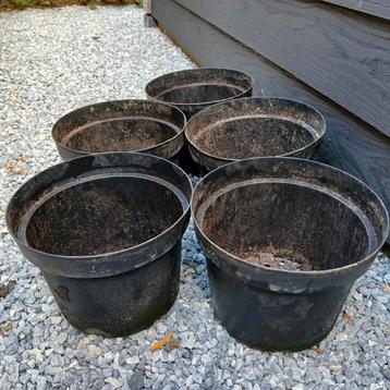 5 grote Kweekpotten - Diameter 28cm, Hoogte 22cm 

 beschikbaar voor biedingen