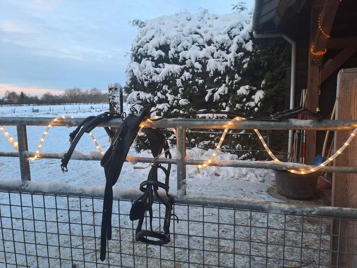 Mentuig shetlander, Dieren en Toebehoren, Paarden en Pony's | Hoofdstellen en Tuigage, Gebruikt, Overige soorten, Ophalen of Verzenden