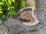 betonnen plantenbakken, Ophalen, Gebruikt, Minder dan 30 cm, Minder dan 60 cm