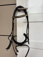 Hooks trenshoofdstel Carl Hedin maat Cob, Ophalen of Verzenden, Zo goed als nieuw, Dressuur