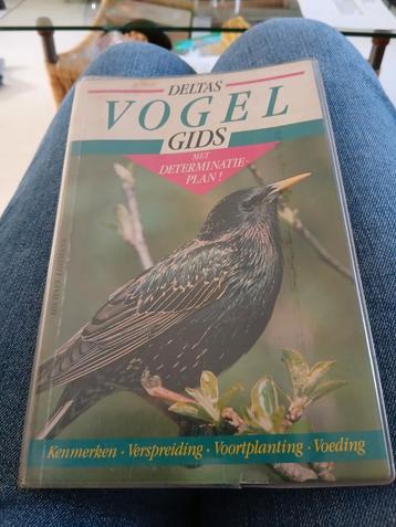 Deltas Vogel Gids beschikbaar voor biedingen