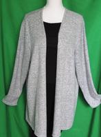 g1  LEUK DAMES VEST van JANINA Maat:52, Ophalen of Verzenden, Zo goed als nieuw, Overige kleuren, Trui of Vest