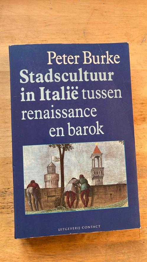 Stadscultuur in Italië tussen Renaissance en Barok. P.Burke., Boeken, Geschiedenis | Wereld, Zo goed als nieuw, Europa, 14e eeuw of eerder