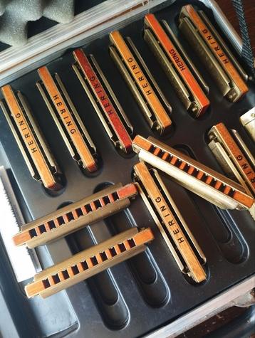 Pro Blues harp set 12 stuks  beschikbaar voor biedingen