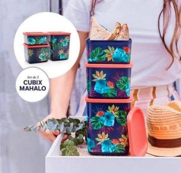 Tupperware Cubix Tropical Set (3) beschikbaar voor biedingen