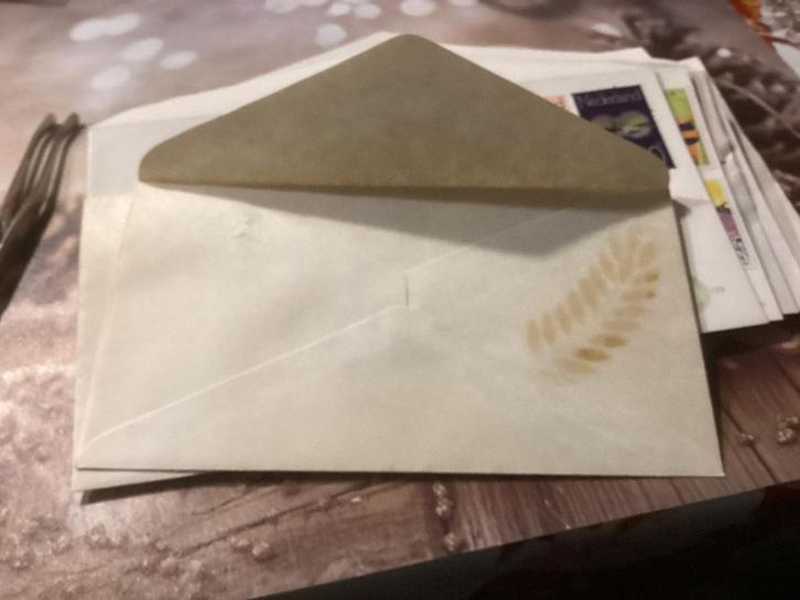 No7234 Afwijkend E59 achterkant palmblad Heb ook van Nederl, Postzegels en Munten, Postzegels | Eerstedagenveloppen, Onbeschreven