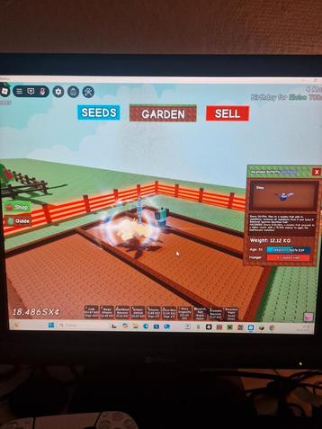 Accended butterfly (0.3% muntation gag) beschikbaar voor biedingen